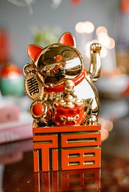 dịch vụ khách hàng Nohu